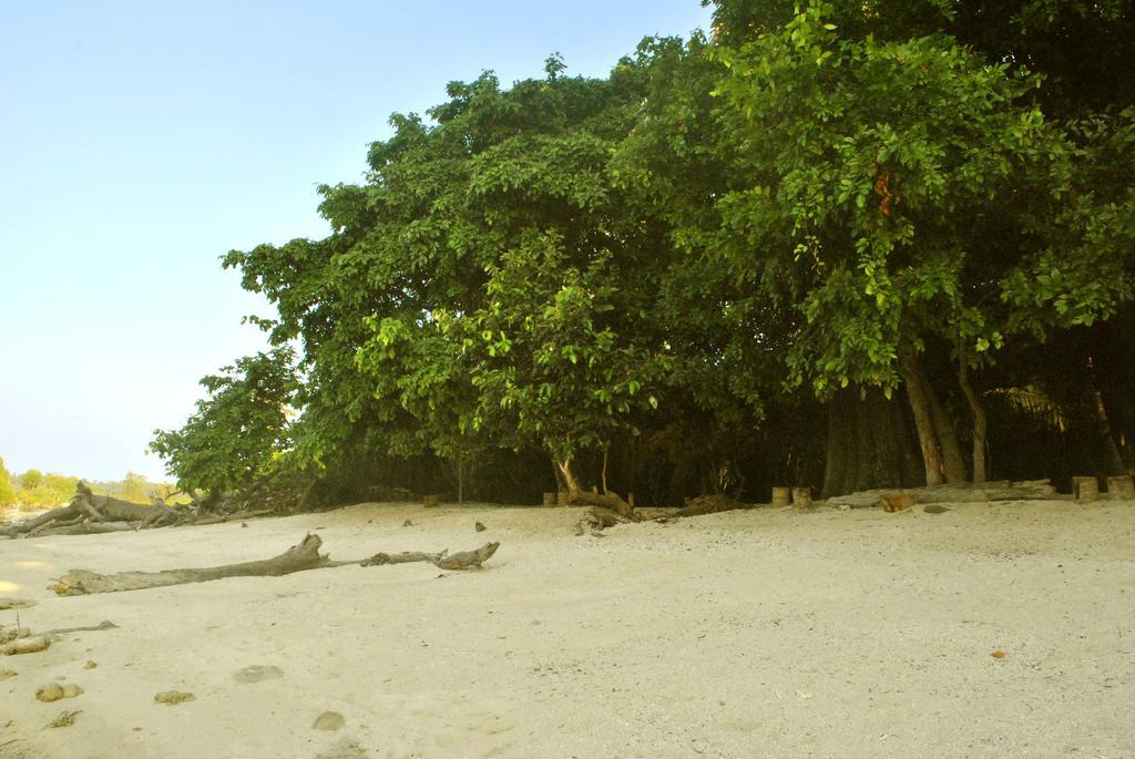 Hotel Sea Shell Neil Lakshmanpur Esterno foto